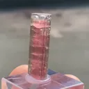 Elabaite variety Rubellite - image 5