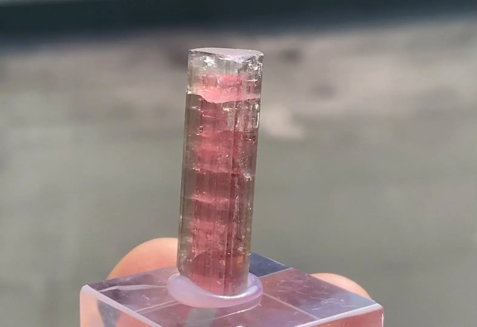 Elabaite variety Rubellite - image 5