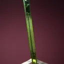Elbaite - image 3