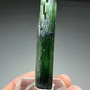 Elbaite  (1098) - image 2