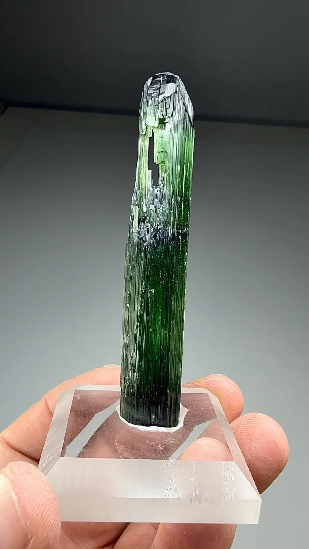 Elbaite  (1098) - image 2