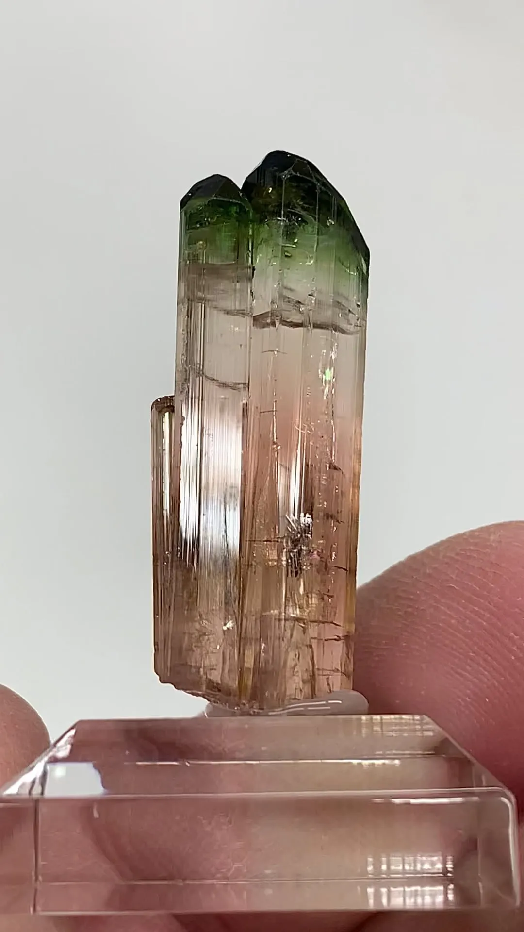 Elbaite (11.46g) - image 2
