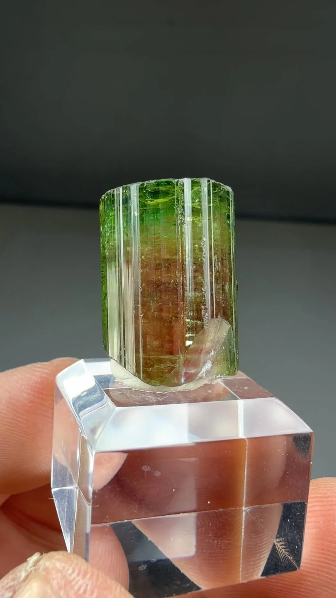 Elbaite (11.5g) - image 2