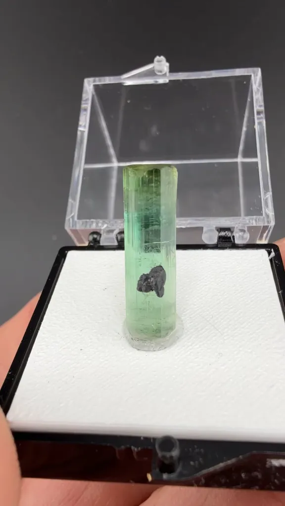 Elbaite (1.33g) image