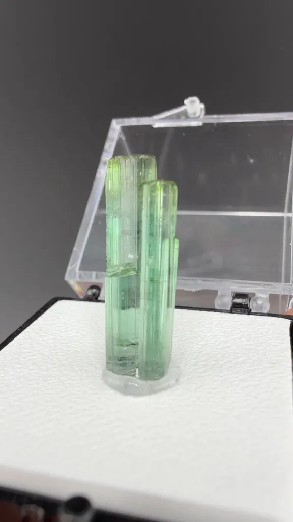 Elbaite (1.49g) image