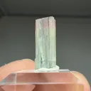 Elbaite (1.62g) - image 2