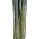 Elbaite - image 1