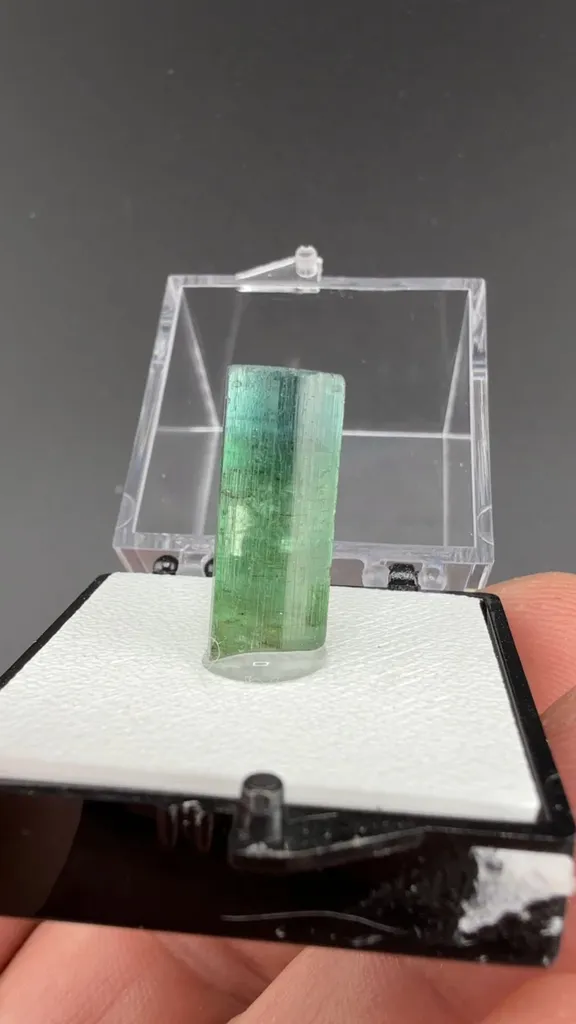 Elbaite (2.36g) image