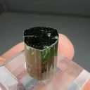 Elbaite (3.04g) - image 2