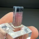 Elbaite (3.88g) - image 2