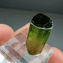 Elbaite (4.69g) - image 2