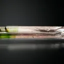 Elbaite - image 2