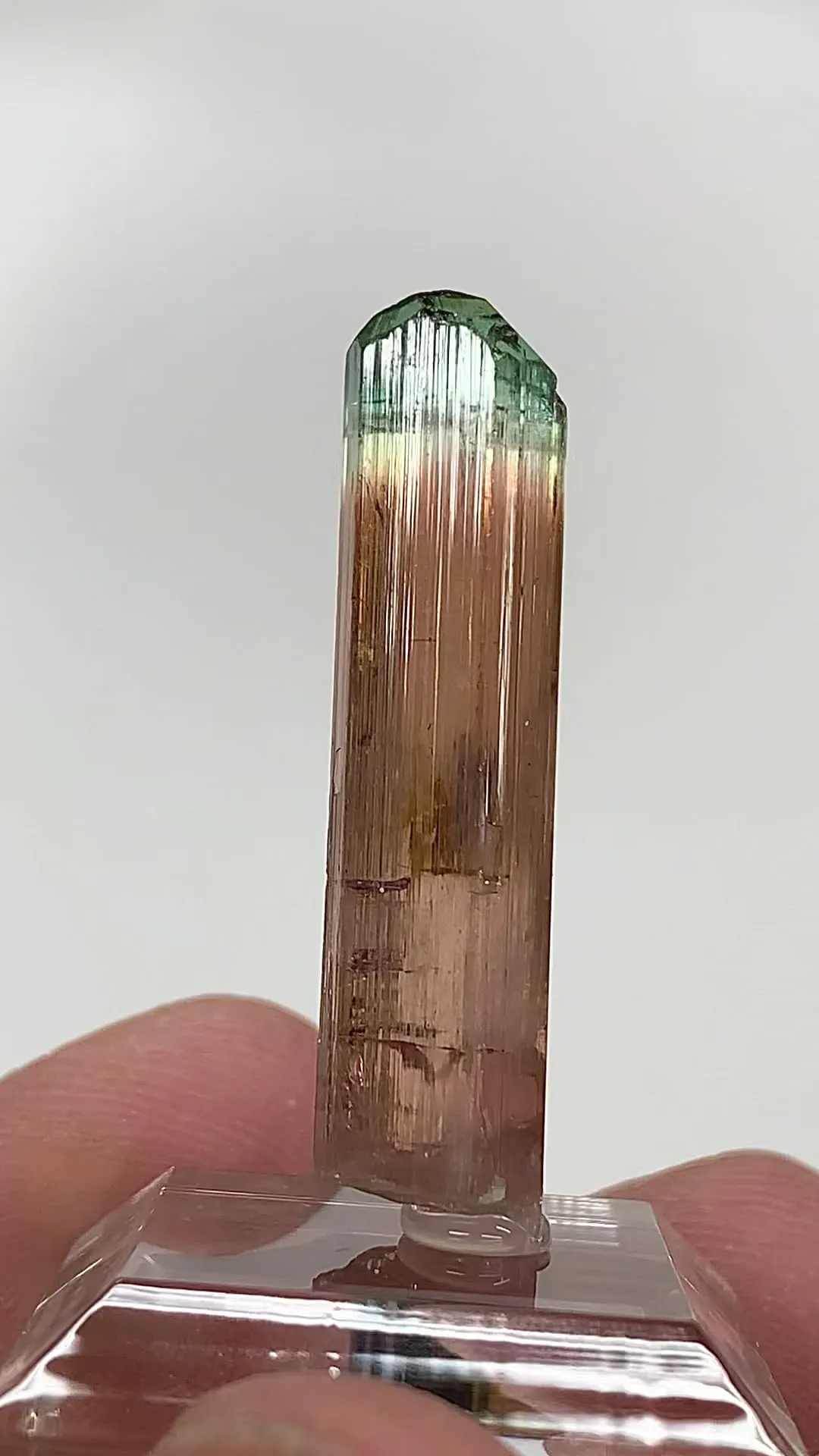 Elbaite (6.25g) - image 2