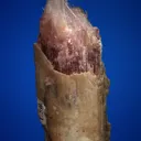 Elbaite - image 3