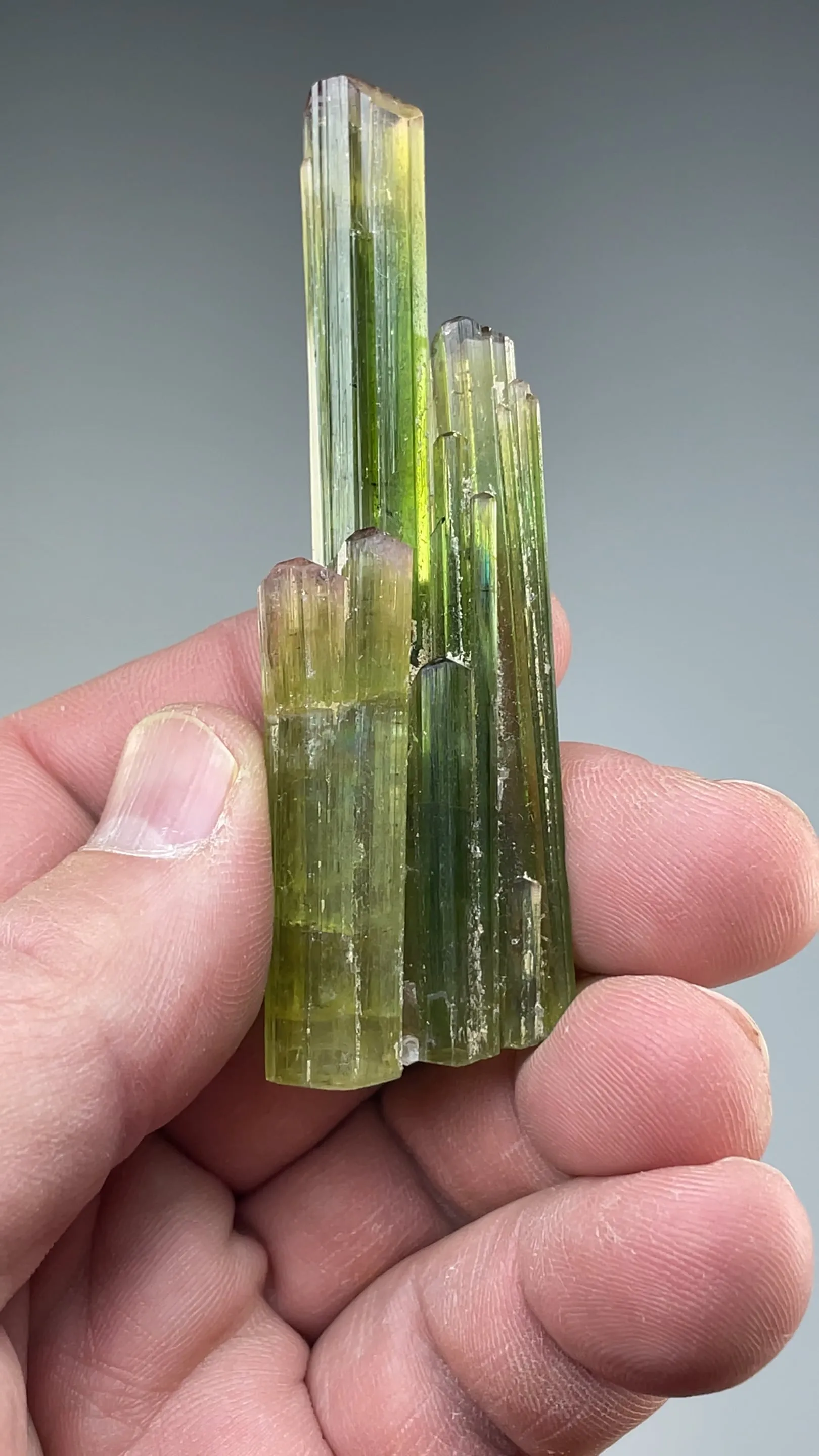 Elbaite - image 2