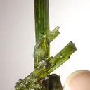 Elbaite - image 2