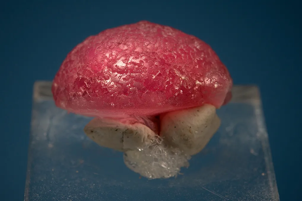 Elbaite - image 3