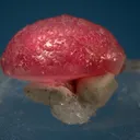 Elbaite - image 3