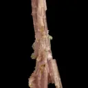 Elbaite - image 4