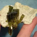 Elbaite, Albite - image 1
