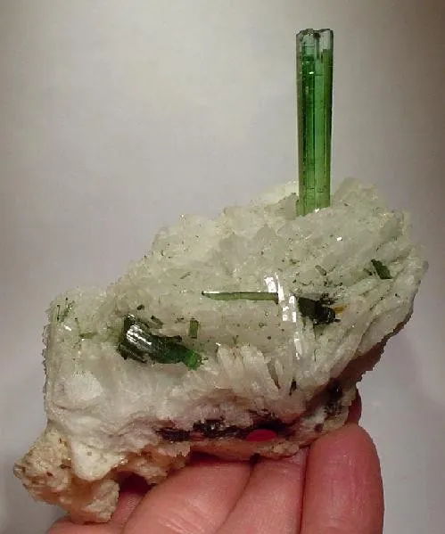 Elbaite, Albite image