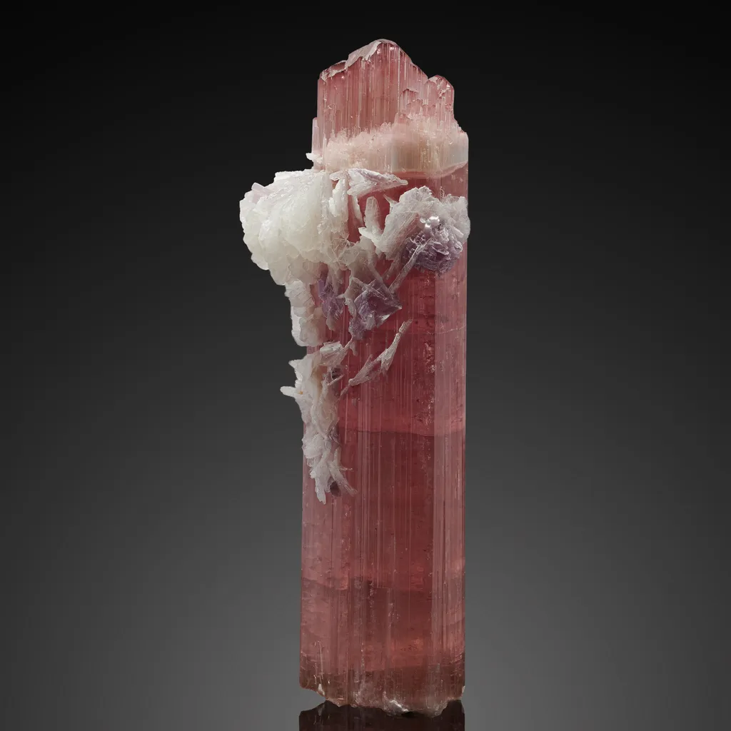 Elbaite Albite, Lepidolite image
