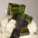 Elbaite, Albite (Var: Cleavelandite) - image 2