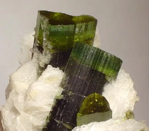 Elbaite, Albite (Var: Cleavelandite) - image 2