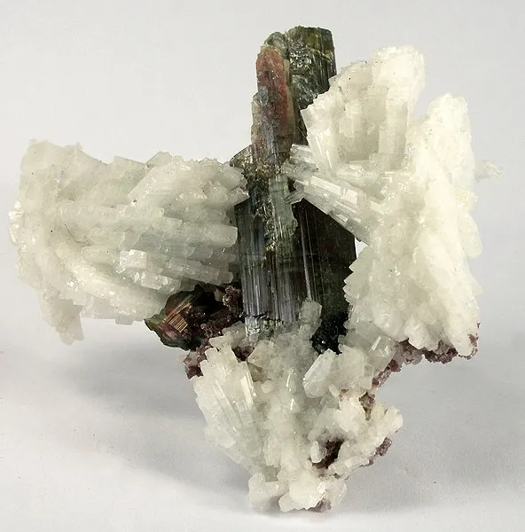 Elbaite, Albite (Var: Cleavelandite) image