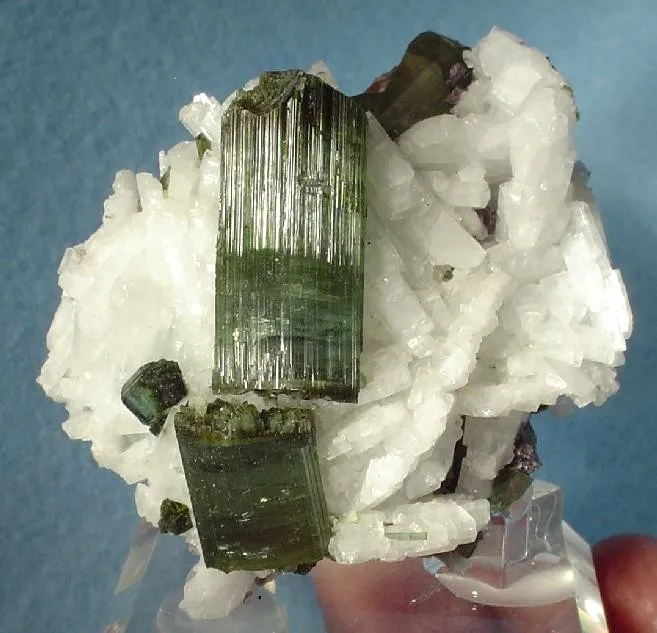 Elbaite, Albite (Var: Cleavelandite) image