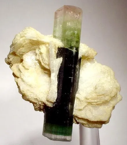 Elbaite, Albite (Var: Cleavelandite) image