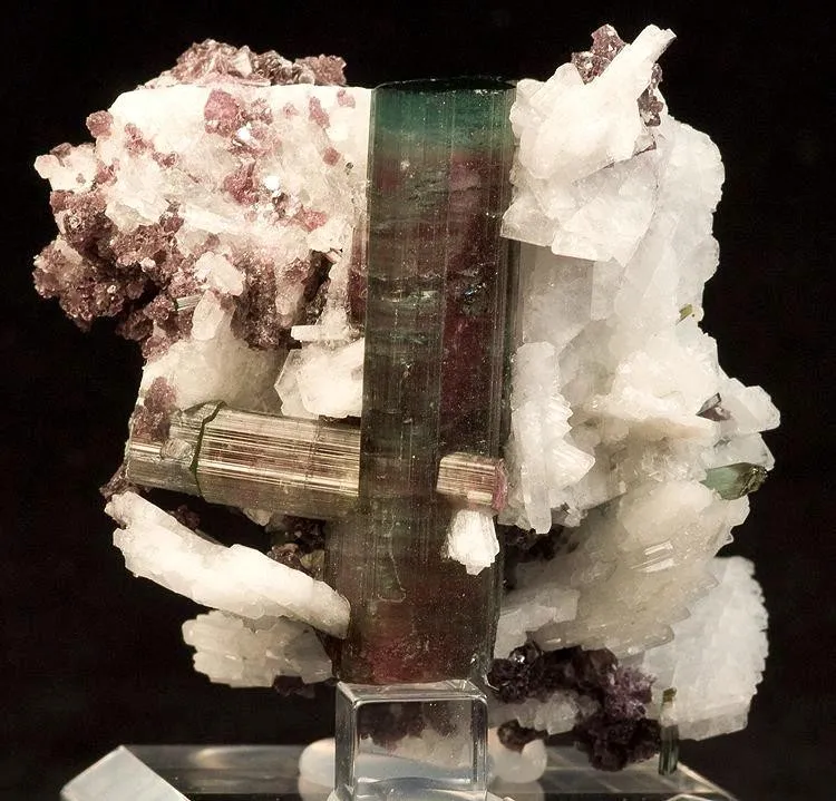 Elbaite, Albite (Var: Cleavelandite), Lepidolite image