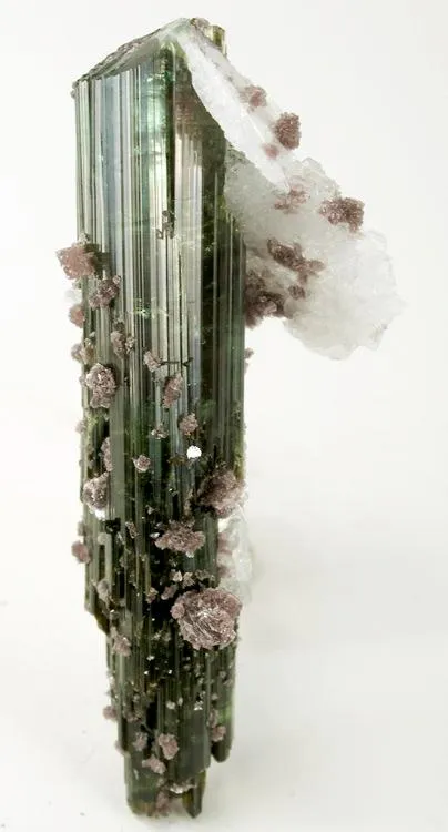 Elbaite, Albite (Var: Cleavelandite), Lepidolite image