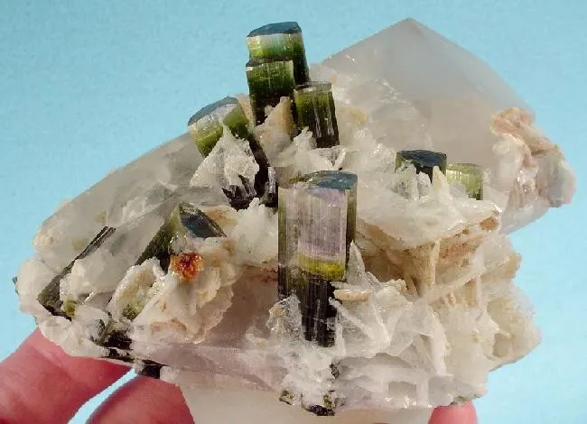 Elbaite, Albite (Var: Cleavelandite), Quartz image