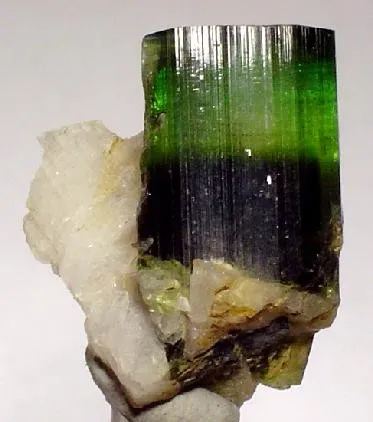 Elbaite, Albite (Var: Cleavelandite), Schorl image