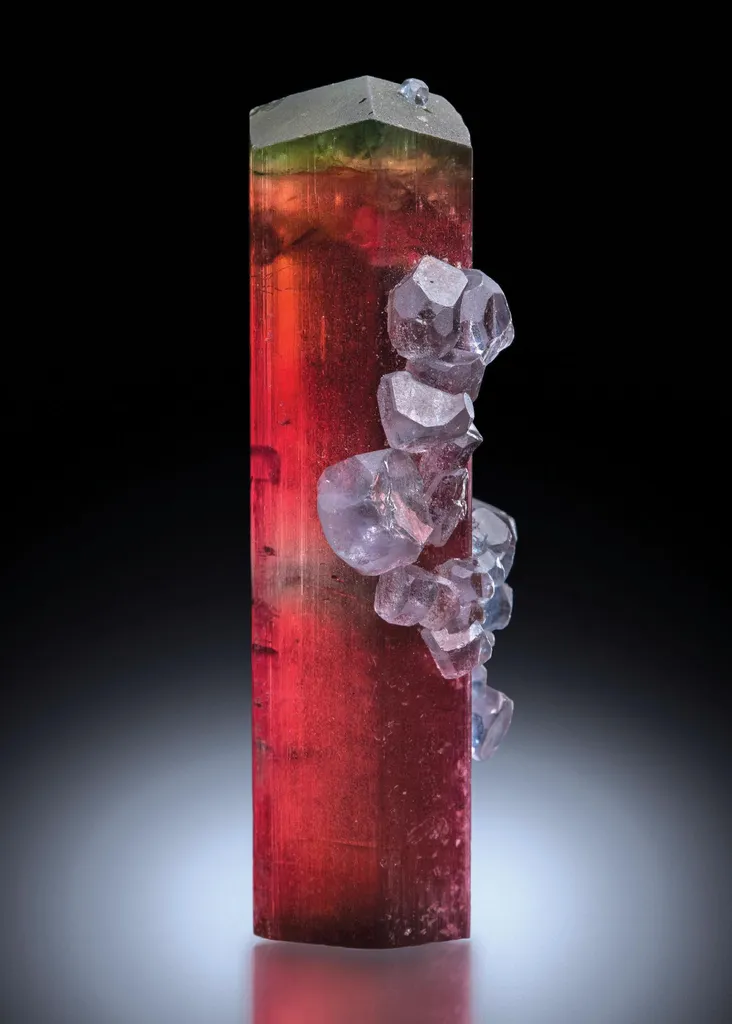 Elbaite, Apatite image