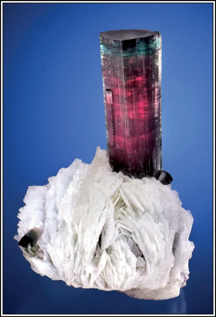 Elbaite, Cleavelandite (Albite) image