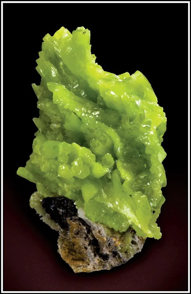 Elbaite, Cleavelandite Albite - image 1