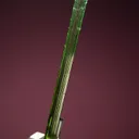 Elbaite - image 4