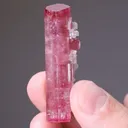 Elbaite (Double Terminated) with Lepidolite - image 2