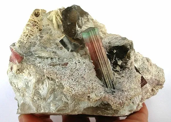 Elbaite, Feldspar Group, Quartz, Albite (Var: Cleavelandite) image