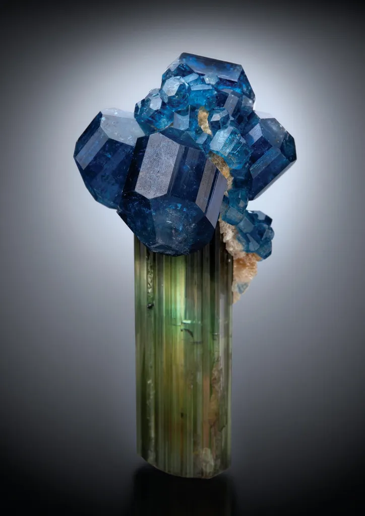 Elbaite, Fluorapatite image