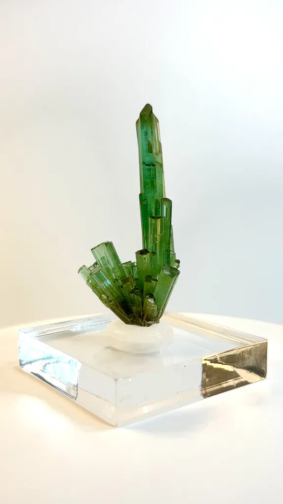 specimen video