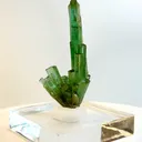 specimen video