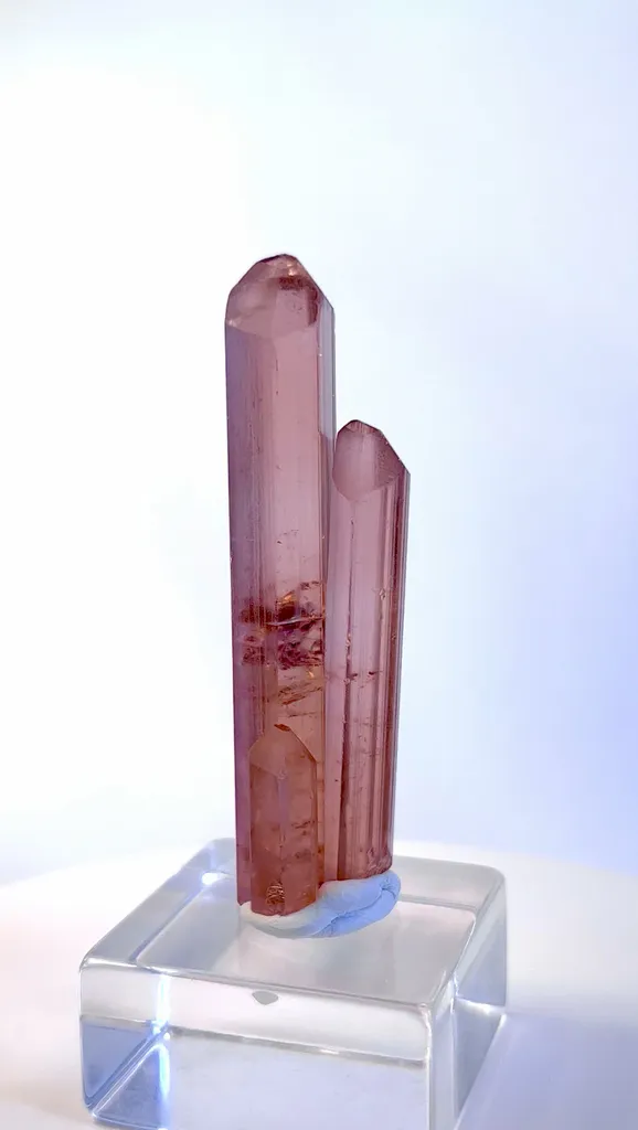 specimen video