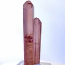 specimen video