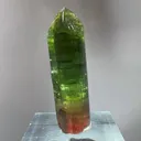 specimen video