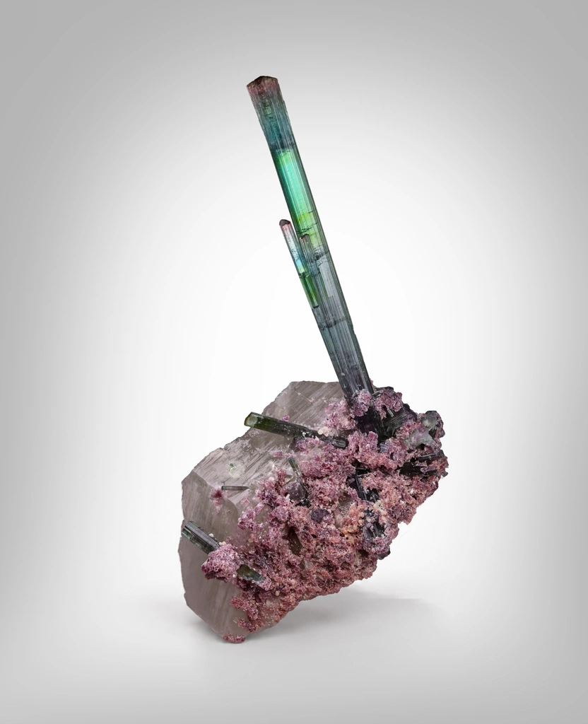 Elbaite from Aricanga mine, São José da Safira, Minas Gerais, Brazil image