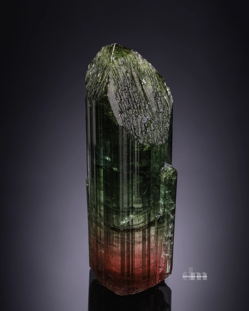 Elbaite from Aricanga mine, São José da Safira, Minas Gerais, Brazil image