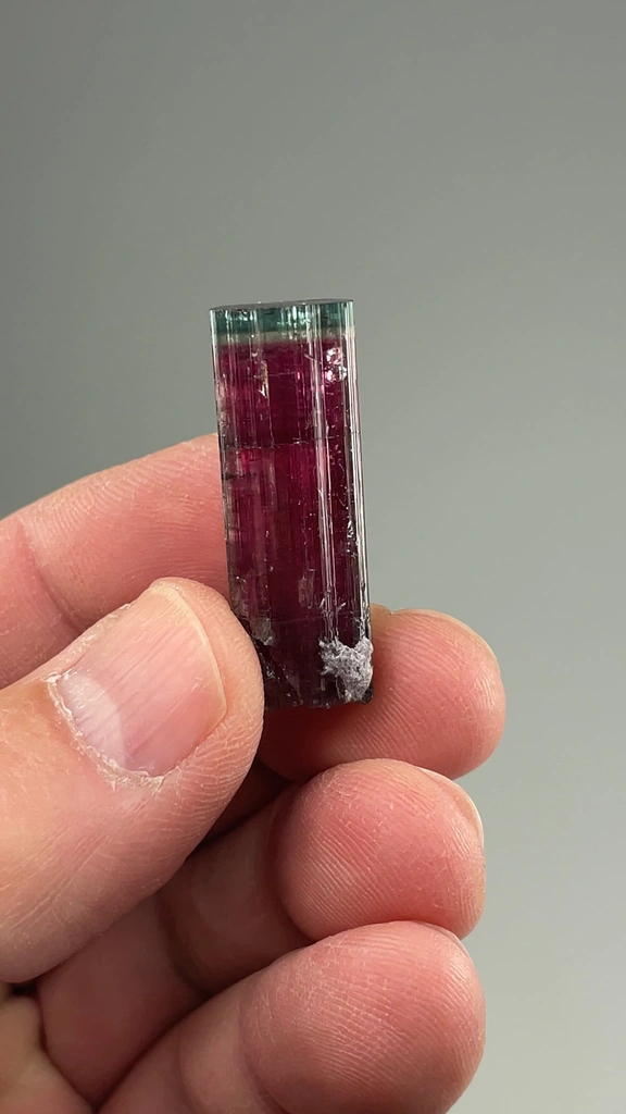 Elbaite from Cruzeiro mine, São José da Safira, Minas Gerais, Brazil - image 2
